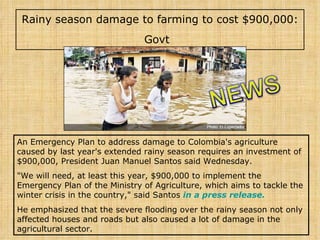 Rainy season damage to farming to cost $900,000: Govt   An Emergency Plan to address damage to Colombia's agriculture caused by last year's extended rainy season requires an investment of $900,000, President Juan Manuel Santos said Wednesday. "We will need, at least this year, $900,000 to implement the Emergency Plan of the Ministry of Agriculture, which aims to tackle the winter crisis in the country," said Santos   in  a  press   release . He emphasized that the severe flooding over the rainy season not only affected houses and roads but also caused a lot of damage in the agricultural sector. 