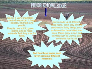 Soil has three layers each layer contains different materials. PRIOR KNOWLEDGE Soil is made up of different-sized rocks, sand, clay and the remanins of living things, such as leaves that have fallen from trees. Plants grow in soil, and animals such as worms, ants and moles live in soil. Soil is a very important natural resource. It helps people, animals and plants. People use soil to grow plants and to raise animals that they use for food. 