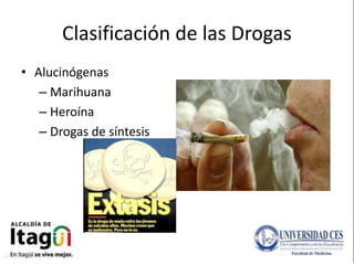 Clasificación de las Drogas 
• Alucinógenas 
– Marihuana 
– Heroína 
– Drogas de síntesis 
 