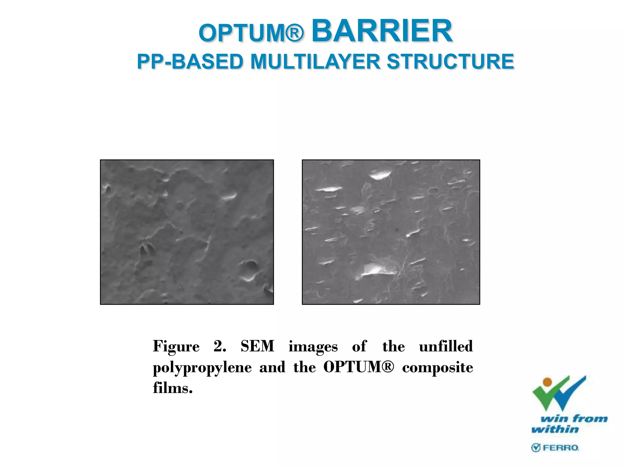 OPTUM® BARRIER
PP-BASED MULTILAYER STRUCTURE
Figure 2. SEM images of the unfilled
polypropylene and the OPTUM® composite
films.
 