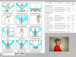 Protocolo Modelo espacial Medidas 