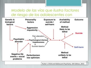 Modelo de las vías que ilustra factores
de riesgo de los adolescentes con
conducta suicida.
Rutter`s Child and Adolescent Psychiatry. 6th Edition, 2015
 