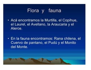 Presentación sur de Chile 