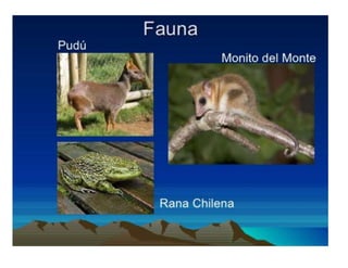 Presentación sur de Chile 