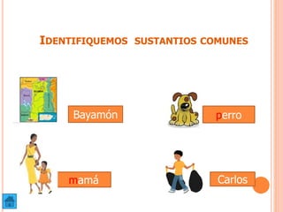 IDENTIFIQUEMOS SUSTANTIOS COMUNES
Bayamón
mamá Carlos
perro
 