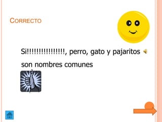 CORRECTO
Si!!!!!!!!!!!!!!!!, perro, gato y pajaritos
son nombres comunes
 