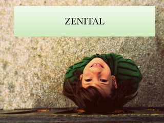 ZENITAL 
 