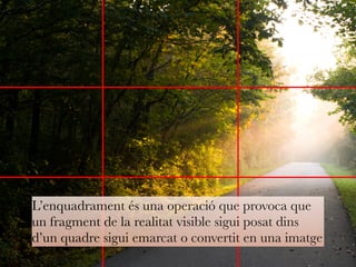 L’enquadrament és una operació que provoca que 
un fragment de la realitat visible sigui posat dins 
d’un quadre sigui emarcat o convertit en una imatge 
 