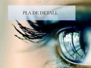 PLA DE DETALL 
 