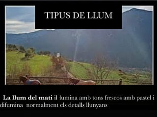 TIPUS DE LLUM 
La llum del mati il·lumina amb tons frescos amb pastel i 
difumina normalment els detalls llunyans 
 