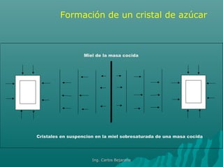 Miel de la masa cocida
Cristales en suspencion en la miel sobresaturada de una masa cocida
Formación de un cristal de azúcar
Ing. Carlos BejaranoIng. Carlos Bejarano
 