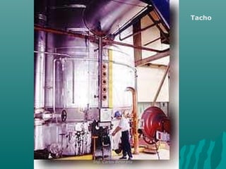 Tacho
Ing. Carlos BejaranoIng. Carlos Bejarano
 