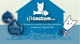 No esperes a perder a tu mascota para
comprar un Tagtum Pet

 