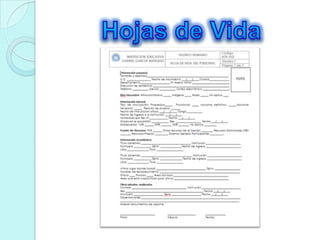 Hojas de Vida
