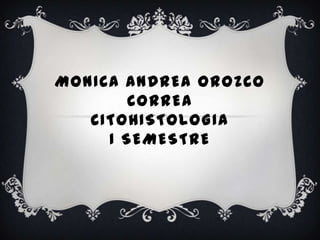 MONICA ANDREA OROZCO
        CORREA
   CITOHISTOLOGIA
     I SEMESTRE
 