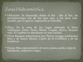  Ubicación: Se desarrolla desde el Bío - Bío al Sur, las
  precipitaciones van de los 1500 mm. a los 5000 mm.
  anuales, por lo que su vegetación es hidrófila.

 Flora: En la zona de los Lagos sobresale la Selva
  Valdiviana; Ulmo, Tineo, Mañio, Coigüe, Alerce, Arrayán
  rojo. El Copihue es abundante en esta unidad.
 Otros Bosques importantes son; Ñirres, Lengas (ambientes
  fríos y de mayor altura), Ciprés de la Cordillera y de las
  Guaitecas.

 Fauna: Más representativo el zorro, puma, pudú, coipo la
  bandurria, carpintero negro.
 