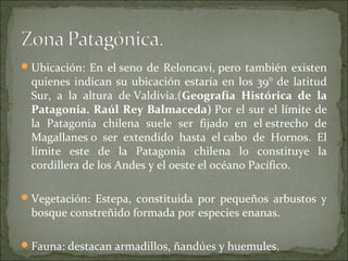  Ubicación: En el seno de Reloncaví, pero también existen
 quienes indican su ubicación estaría en los 39° de latitud
 Sur, a la altura de Valdivia.(Geografía  Histórica  de  la 
 Patagonia. Raúl Rey Balmaceda) Por el sur el límite de
 la Patagonia chilena suele ser fijado en el estrecho de
 Magallanes o ser extendido hasta el cabo de Hornos. El
 límite este de la Patagonia chilena lo constituye la
 cordillera de los Andes y el oeste el océano Pacífico.

 Vegetación: Estepa, constituida por pequeños arbustos y
 bosque constreñido formada por especies enanas.

 Fauna: destacan armadillos, ñandúes y huemules.
 
