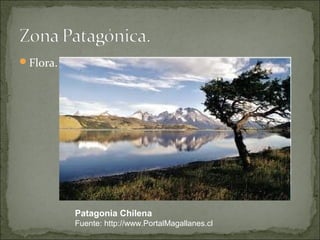 Flora.




          Patagonia Chilena
          Fuente: http://www.PortalMagallanes.cl
 