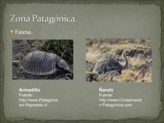Fauna.




  Armadillo              Ñandú
  Fuente:                Fuente:
  http://www.Patagonia   http://www.Conservació
  sin Represas.cl        n Patagónica.com
 