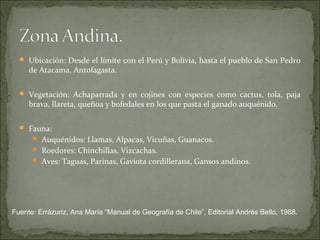  Ubicación: Desde el límite con el Perú y Bolivia, hasta el pueblo de San Pedro
     de Atacama, Antofagasta.

   Vegetación: Achaparrada y en cojines con especies como cactus, tola, paja
     brava, llareta, queñoa y bofedales en los que pasta el ganado auquénido.

   Fauna:
      Auquénidos: Llamas, Alpacas, Vicuñas, Guanacos.
       Roedores: Chinchillas, Vizcachas.
       Aves: Taguas, Parinas, Gaviota cordillerana, Gansos andinos.




Fuente: Errázuriz, Ana María “Manual de Geografía de Chile”, Editorial Andrés Bello, 1988.
 
