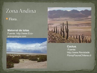 Flora.


Matorral de tolas.
Fuente: http://www.Eco-
antropología.com



                          Cactus.
                           Fuente:
                          http://www.Revistade
                          FlorayFaunaChilena.cl
 