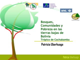 Bosques, Comunidades y Pobreza en las  tierras bajas de Bolivia Tr ó pico de Cochabamba ,[object Object],programa instituto de investigación  forestal 