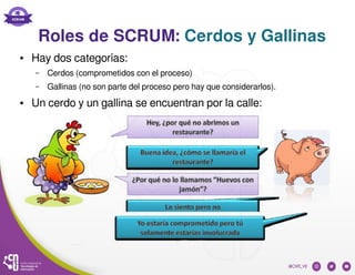 Roles de SCRUM: Cerdos y Gallinas
● Hay dos categorías:
– Cerdos (comprometidos con el proceso)
– Gallinas (no son parte del proceso pero hay que considerarlos).
● Un cerdo y un gallina se encuentran por la calle:
 
