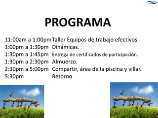 11:00am a 1:00pmTaller Equipos de trabajo efectivos.
1:00pm a 1:30pm Dinámicas.
1:30pm a 1:45pm Entrega de certificados de participación.
1:30pm a 2:30pm Almuerzo.
2:30pm a 5:00pm Compartir, área de la piscina y villar.
5:30pm Retorno
PROGRAMA
2
 