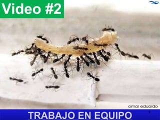 TRABAJO EN EQUIPO
Video #2
9
 