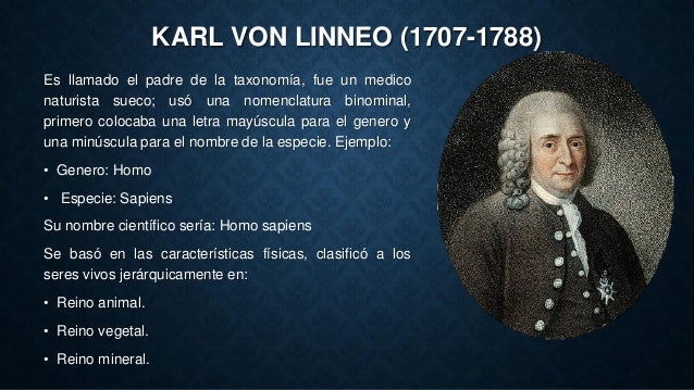 Presentacion taxon