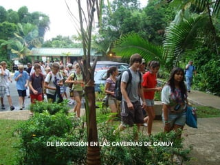 DE EXCURSIÓN EN LAS CAVERNAS DE CAMUY
 