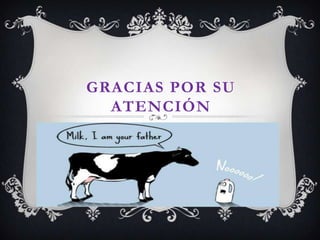 GRACIAS POR SU
  ATENCIÓN
 