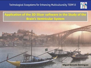 Application of the 3D Slicer software in the Study of the
Brain’s Ventricular System
Miguel Gonzalo Domínguez
 