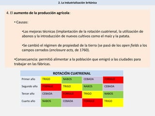 2. La industrialización británica
4. El aumento de la producción agrícola:
• Causas:
•Las mejoras técnicas (implantación de la rotación cuatrienal, la utilización de
abonos y la introducción de nuevos cultivos como el maíz y la patata.
•Se cambió el régimen de propiedad de la tierra (se pasó de los open fields a los
campos cerrados (enclosure acts, de 1760).
•Consecuencia: permitió alimentar a la población que emigró a las ciudades para
trabajar en las fábricas.
ROTACIÓN CUATRIENAL
Primer año TRIGO NABOS CEBADA FORRAJE
Segundo año FORRAJE TRIGO NABOS CEBADA
Tercer año CEBADA FORRAJE TRIGO NABOS
Cuarto año NABOS CEBADA FORRAJE TRIGO
 