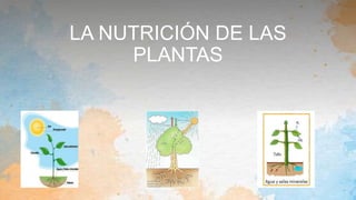 LA NUTRICIÓN DE LAS
PLANTAS
 