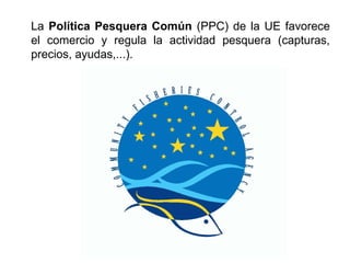 La Política Pesquera Común (PPC) de la UE favorece
el comercio y regula la actividad pesquera (capturas,
precios, ayudas,...).
 