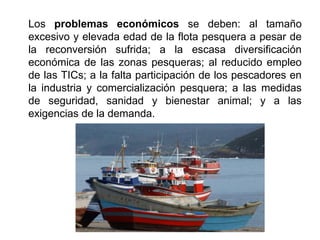 Los problemas económicos se deben: al tamaño
excesivo y elevada edad de la flota pesquera a pesar de
la reconversión sufrida; a la escasa diversificación
económica de las zonas pesqueras; al reducido empleo
de las TICs; a la falta participación de los pescadores en
la industria y comercialización pesquera; a las medidas
de seguridad, sanidad y bienestar animal; y a las
exigencias de la demanda.
 