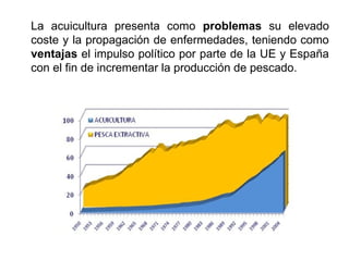La acuicultura presenta como problemas su elevado
coste y la propagación de enfermedades, teniendo como
ventajas el impulso político por parte de la UE y España
con el fin de incrementar la producción de pescado.
 