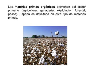Las materias primas orgánicas provienen del sector
primario (agricultura, ganadería, explotación forestal,
pesca). España es deficitaria en este tipo de materias
primas.
 