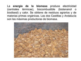 La energía de la biomasa produce electricidad
(centrales térmicas), biocombustible (biotenanol o
biodisesl) y calor. Se obtiene de residuos agrarios y de
materias primas orgánicas. Las dos Castillas y Andalucía
son las máximas productoras de biomasa.
 