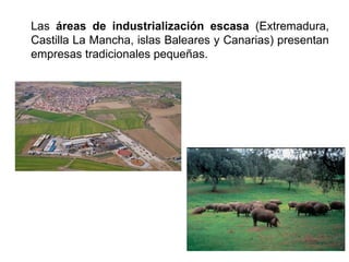 Las áreas de industrialización escasa (Extremadura,
Castilla La Mancha, islas Baleares y Canarias) presentan
empresas tradicionales pequeñas.
 