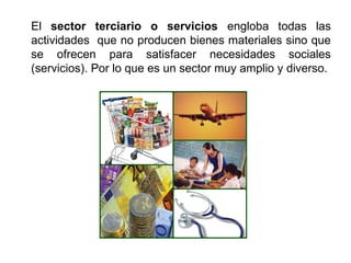 El sector terciario o servicios engloba todas las
actividades que no producen bienes materiales sino que
se ofrecen para satisfacer necesidades sociales
(servicios). Por lo que es un sector muy amplio y diverso.
 