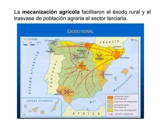 La mecanización agrícola facilitaron el éxodo rural y el
trasvase de población agraria al sector terciaria.
 