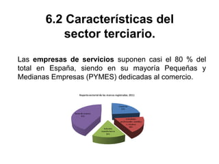 6.2 Características del
sector terciario.
Las empresas de servicios suponen casi el 80 % del
total en España, siendo en su mayoría Pequeñas y
Medianas Empresas (PYMES) dedicadas al comercio.
 