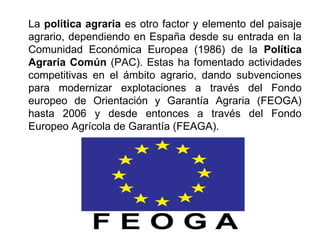 La política agraria es otro factor y elemento del paisaje
agrario, dependiendo en España desde su entrada en la
Comunidad Económica Europea (1986) de la Política
Agraria Común (PAC). Estas ha fomentado actividades
competitivas en el ámbito agrario, dando subvenciones
para modernizar explotaciones a través del Fondo
europeo de Orientación y Garantía Agraria (FEOGA)
hasta 2006 y desde entonces a través del Fondo
Europeo Agrícola de Garantía (FEAGA).
 