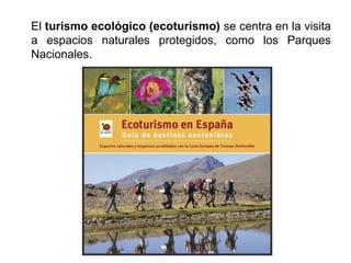 El turismo ecológico (ecoturismo) se centra en la visita
a espacios naturales protegidos, como los Parques
Nacionales.
 