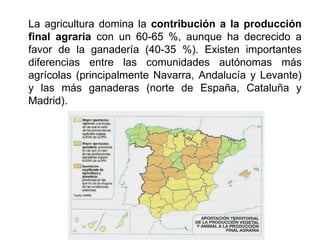 La agricultura domina la contribución a la producción
final agraria con un 60-65 %, aunque ha decrecido a
favor de la ganadería (40-35 %). Existen importantes
diferencias entre las comunidades autónomas más
agrícolas (principalmente Navarra, Andalucía y Levante)
y las más ganaderas (norte de España, Cataluña y
Madrid).
 