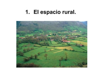 1. El espacio rural.
 