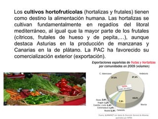 Los cultivos hortofrutícolas (hortalizas y frutales) tienen
como destino la alimentación humana. Las hortalizas se
cultivan fundamentalmente en regadíos del litoral
mediterráneo, al igual que la mayor parte de los frutales
(cítricos, frutales de hueso y de pepita,…), aunque
destaca Asturias en la producción de manzanas y
Canarias en la de plátano. La PAC ha favorecido su
comercialización exterior (exportación).
 