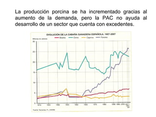La producción porcina se ha incrementado gracias al
aumento de la demanda, pero la PAC no ayuda al
desarrollo de un sector que cuenta con excedentes.
 